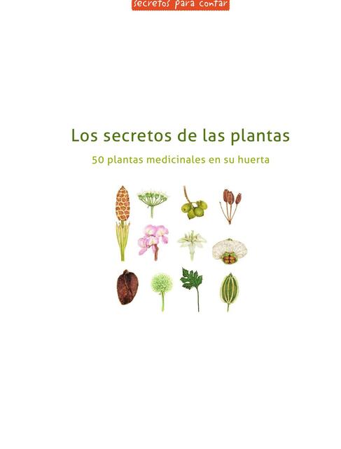 Los Secretos de las Plantas. 50 Plantas Medicinales