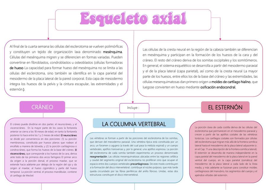 Esqueleto Axial Janeth Lucas Udocz