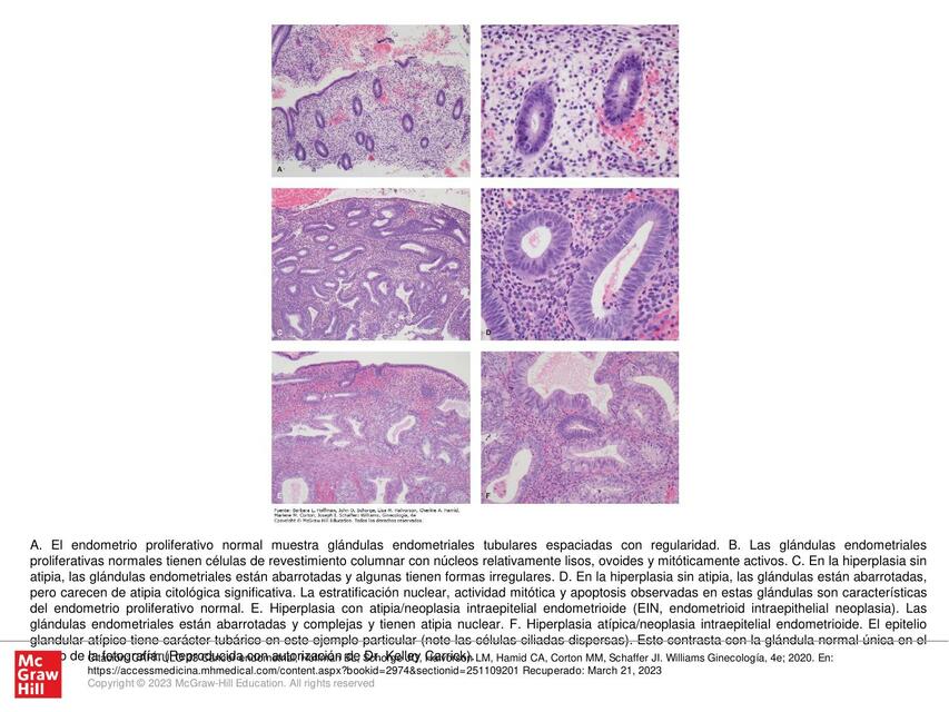 Histología 