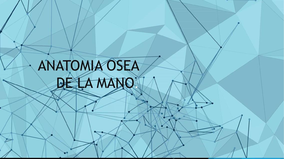 Anatomía Ósea de la mano 