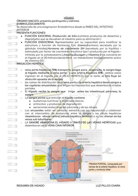 Higado 