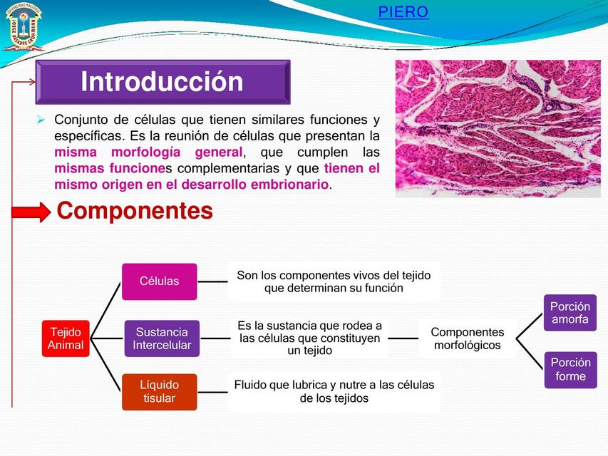 Histología 