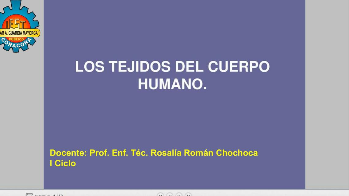 Los tejidos del cuerpo humano