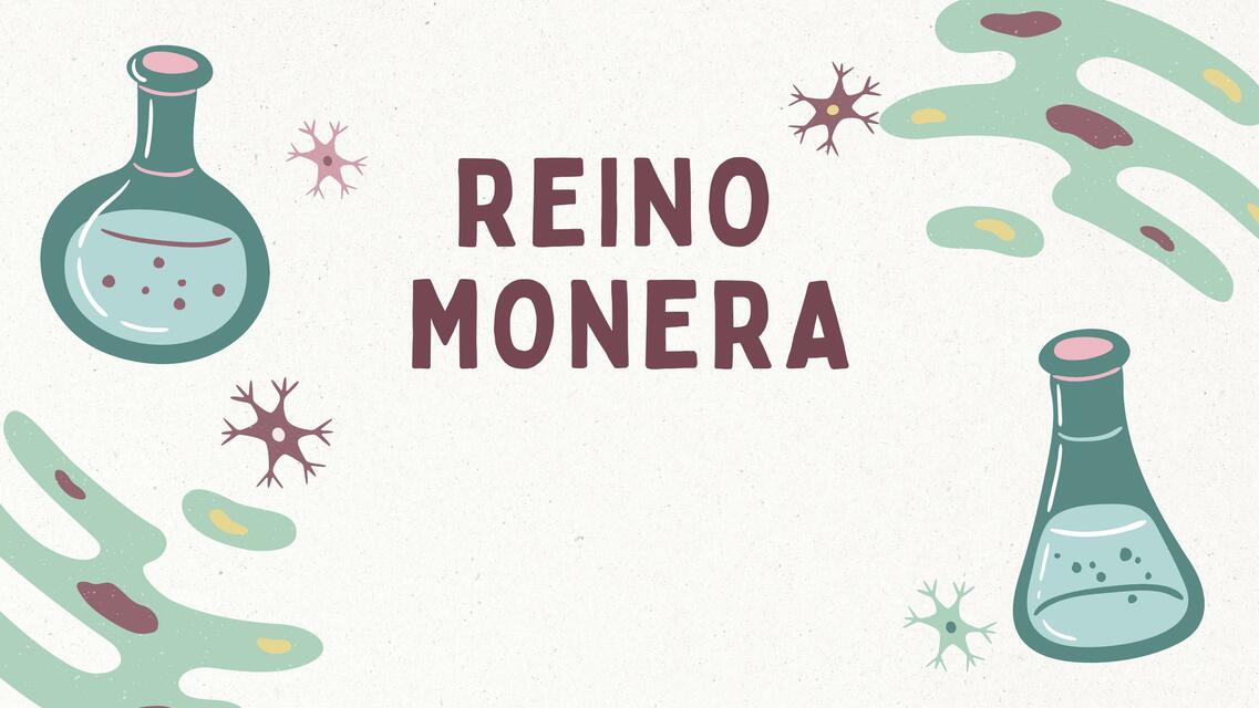 Reino Monera