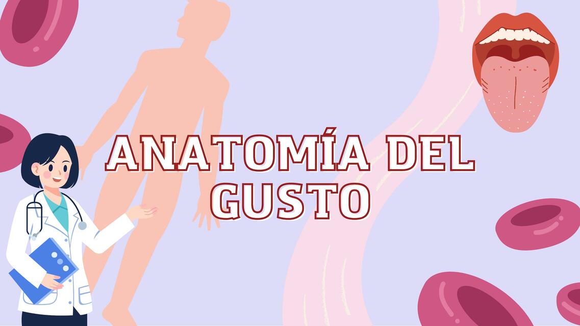 Anatomía del Gusto 