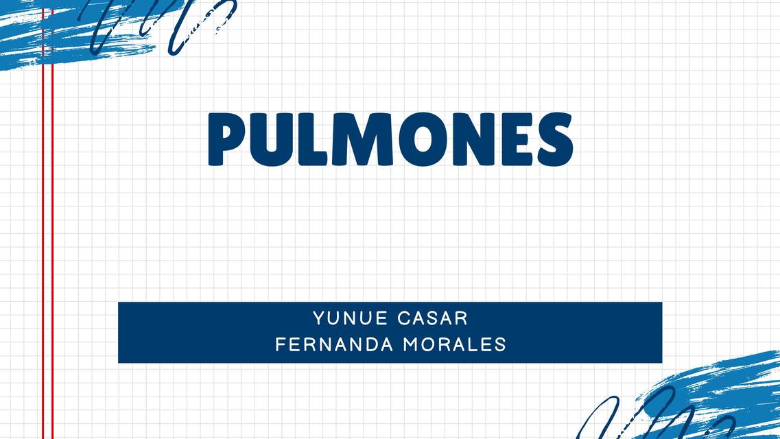 Pulmones  