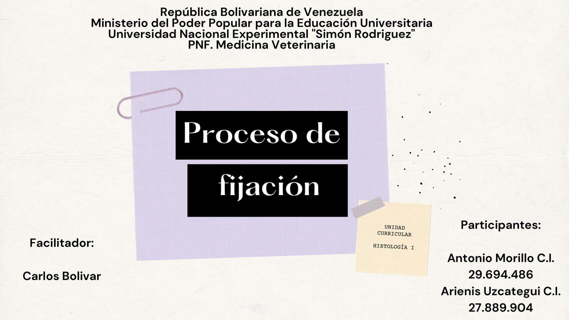 Proceso de Fijación