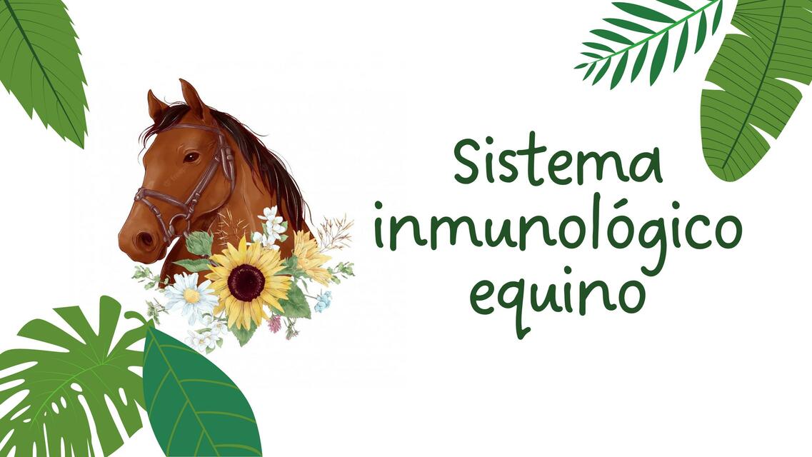 Sistema inmunológico de los equinos   