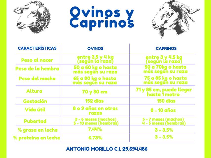 Cuadro Comparativo Ovinos y Caprinos