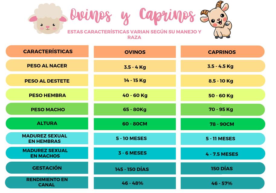 Cuadro Comparativo Ovinos y Caprinos