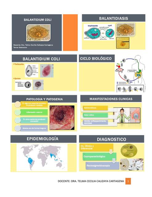 Balantidium coli