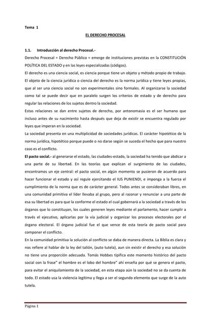 Derecho Procesal  Tema  1 AL 8