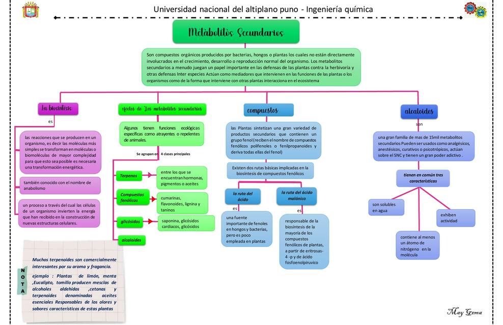 Metabolitos Secundarios