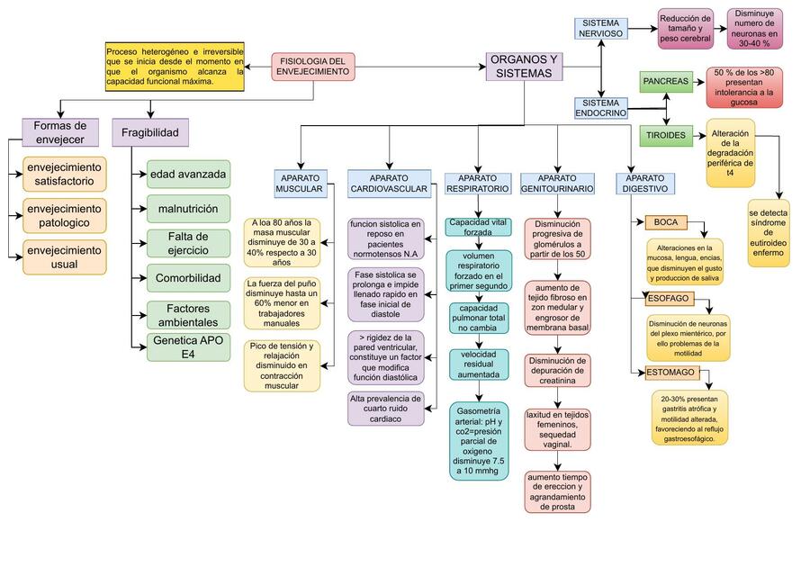 Fisiología del Envejecimiento 