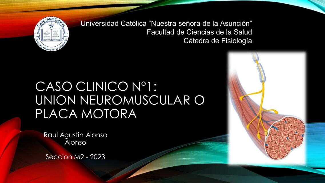 Unión Neuromuscular o Placa Motora 