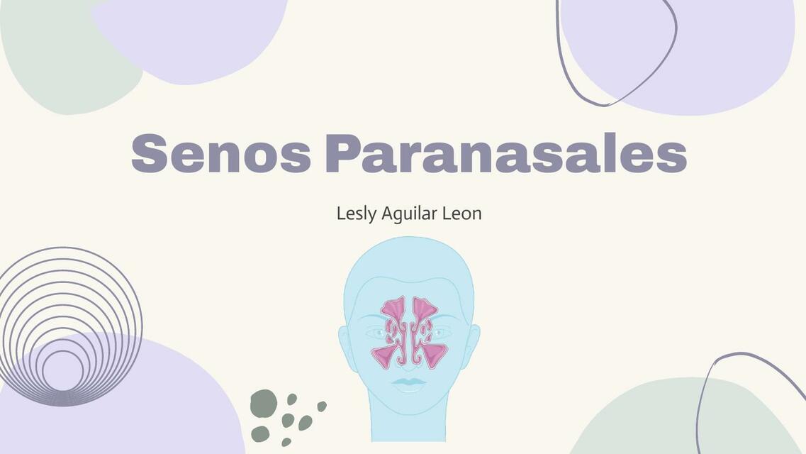 Senos Paranasales 