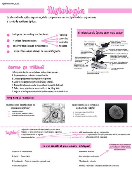 histología (UABP1)