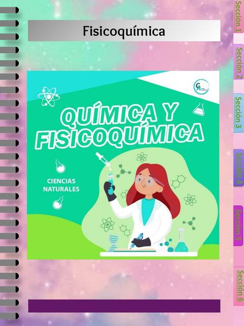 Cinetica química 