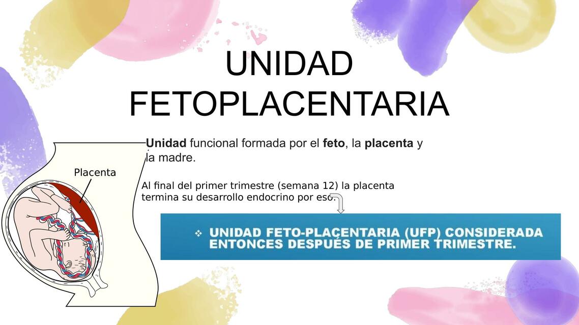 Unidad fetoplancentaria