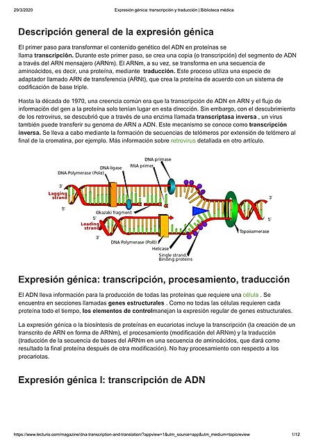 Descripción general de la expresión génica