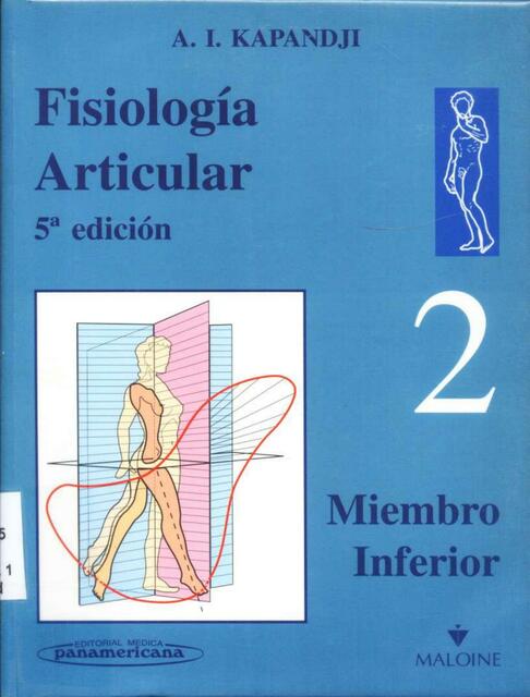 Fisiología articular 