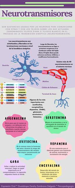 Neurotransmisores 