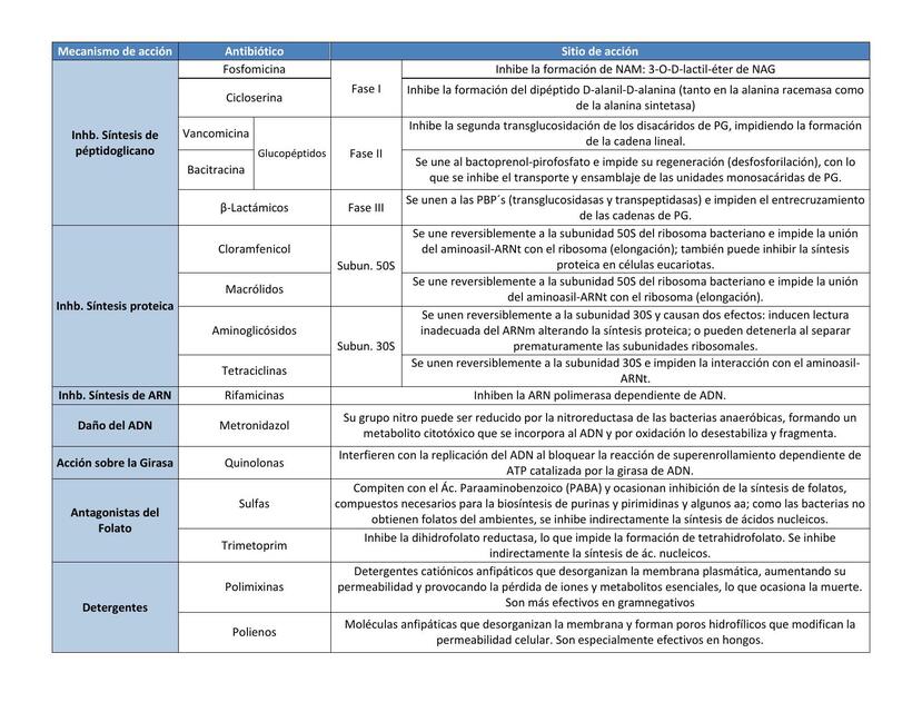 Mecanismo de Acción de las Principales Familias de Antibióticos 