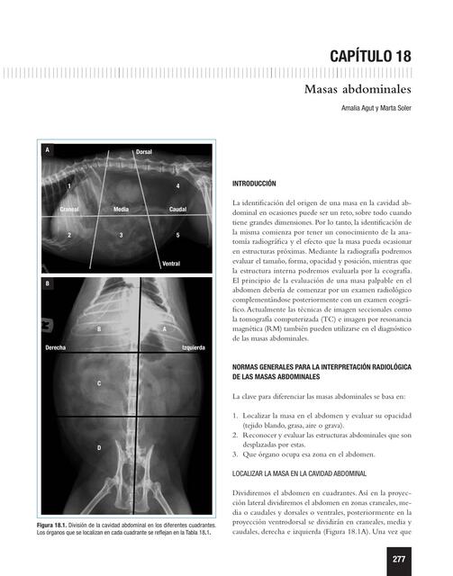 Masas abdominales