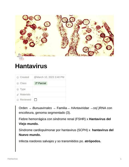 Hantavirus 