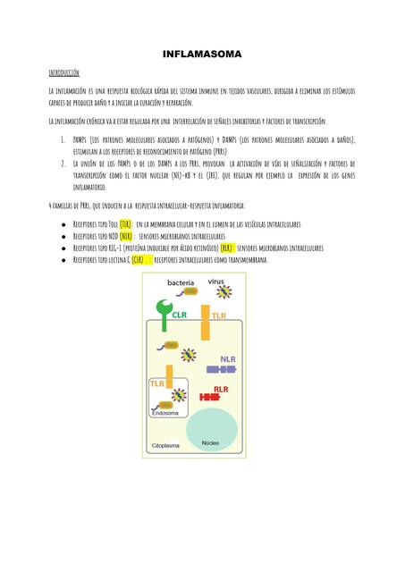 Inflamasoma 