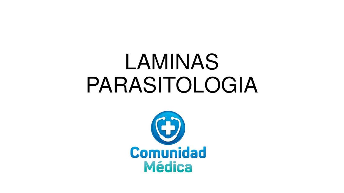 LAMINAS PARASITO (EXPLICADO)