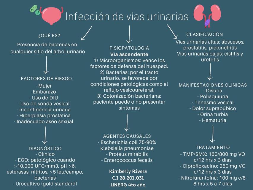 Infección de Vías Urinarias (Mapa Mental) | uDocz