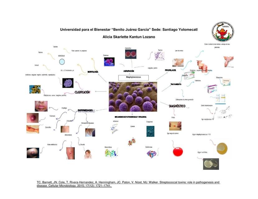 staphylococcus skarlette 