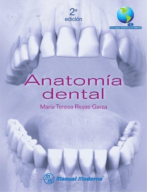 Anatomía Dental