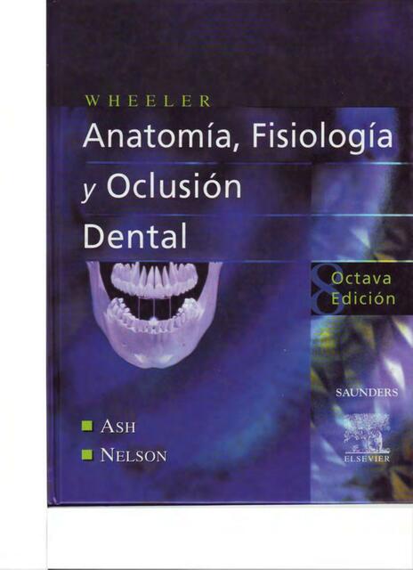 Anatomía, Fisiología y Oclusión Dental 