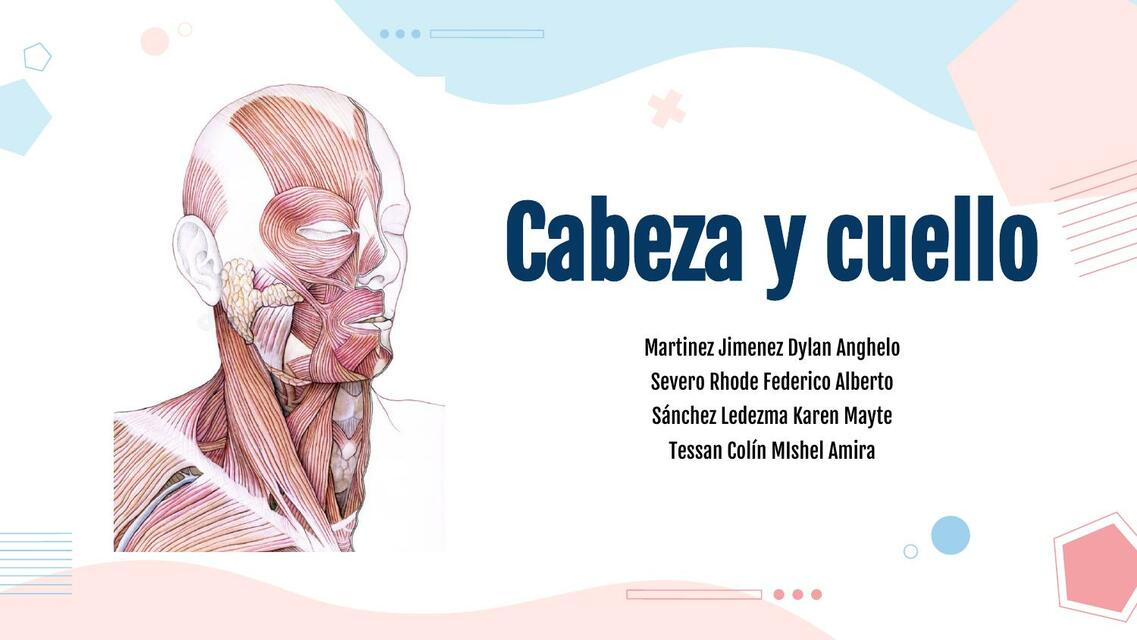 Cabeza y Cuello