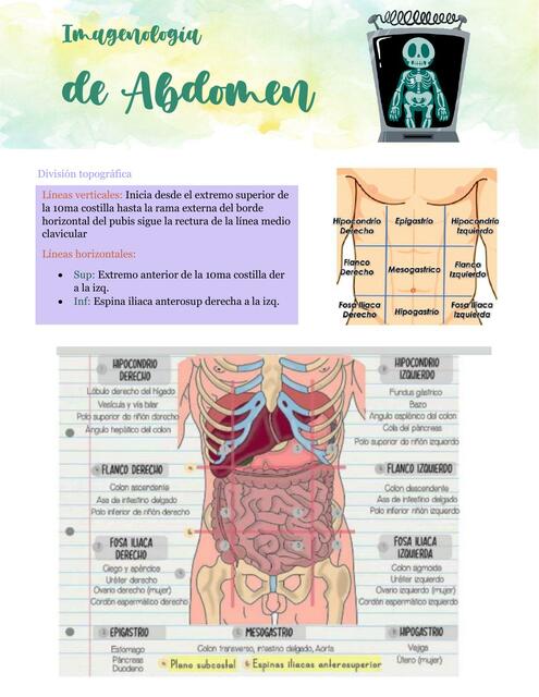 Imagenología de Abdomen   