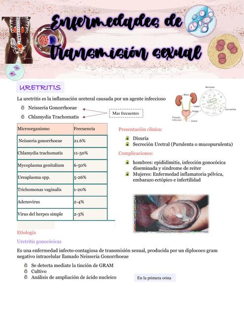 Enfermedades de transmisión sexual 