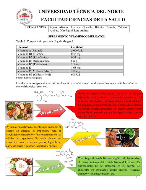 Suplemento Vitamínico Mulgatol 