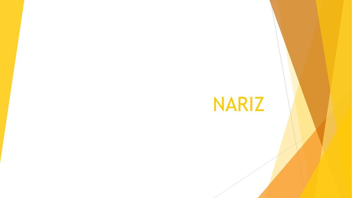 Nariz 