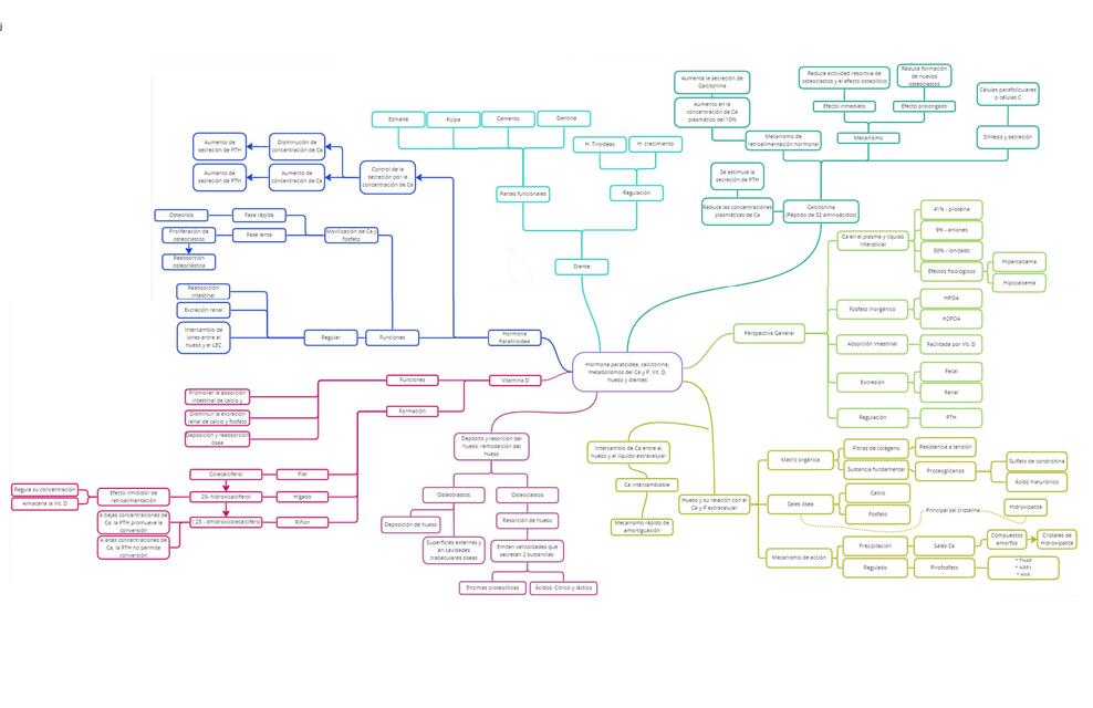 Hormona Paratiroidea, Calcitonina, Metabolismo del Ca y P, Vit D, Hueso y Dientes 