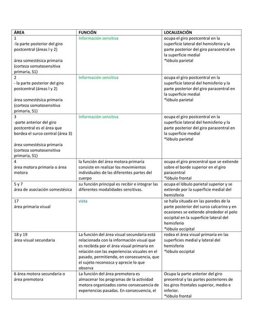 Áreas de Brodmann