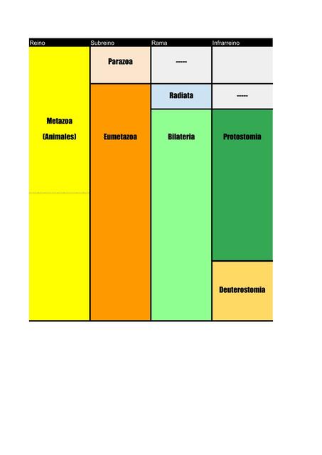 Zoología- Cuadro Comparativo