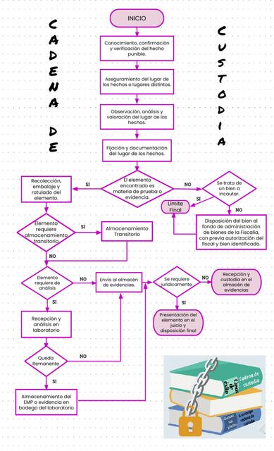 Flujograma de la Cadena de Custodia