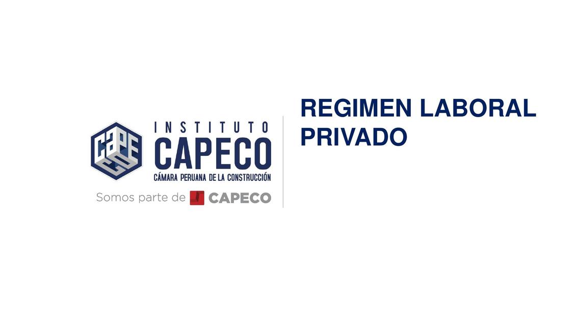 Régimen laboral privado   