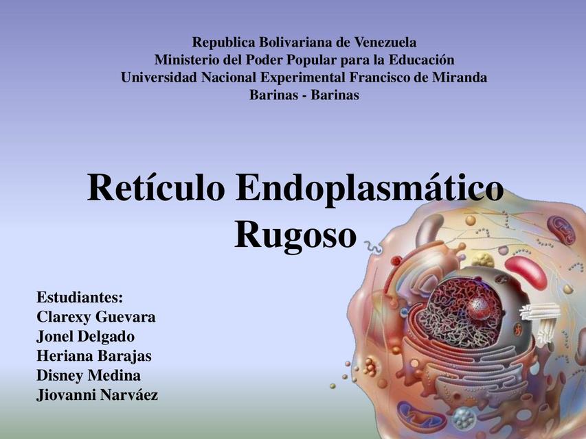 Retículo Endoplasmático Rugoso 