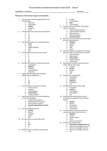 Tercer Examen de Anatomía Humana II