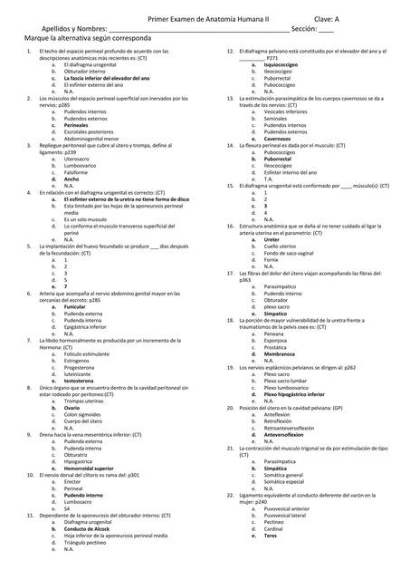 Primer Examen de Anatomía Humana II 