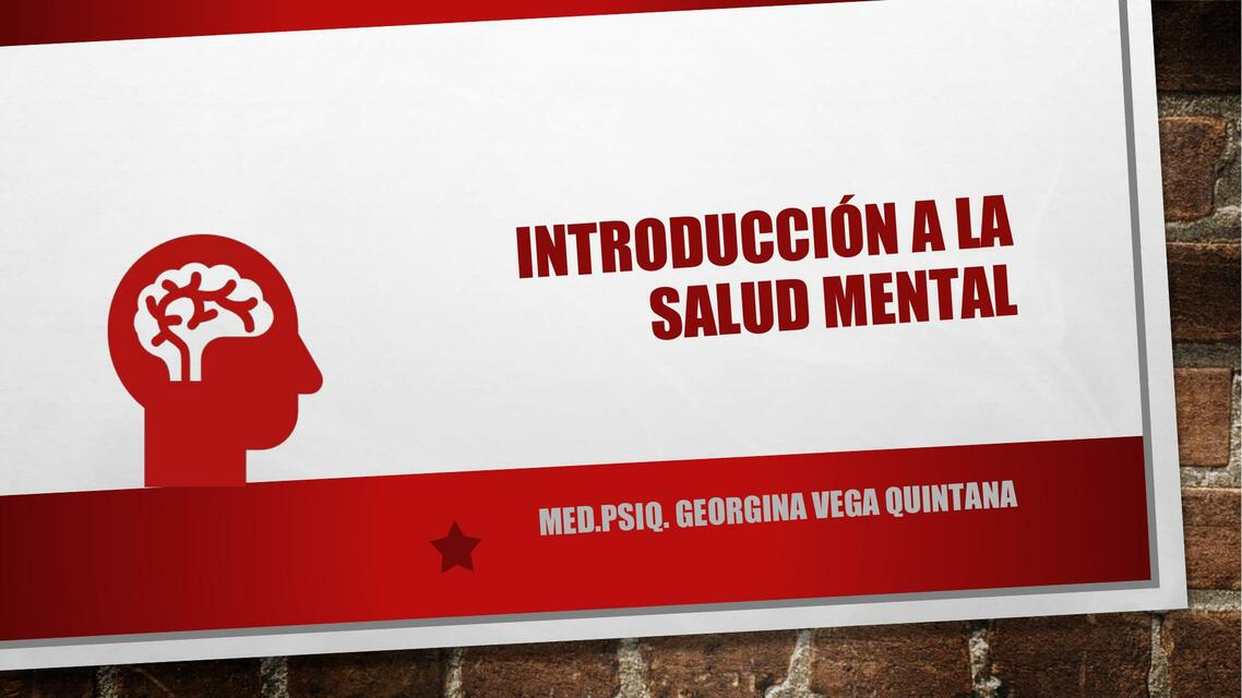 Introducción a la Salud Mental 