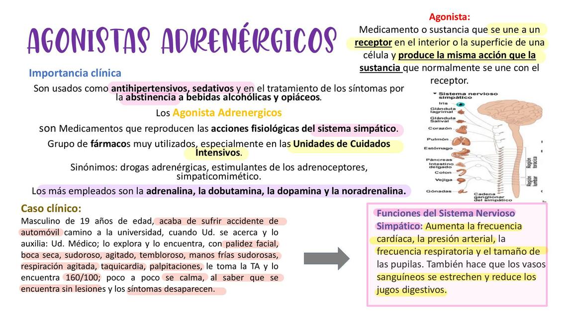 Farmacologia adrenérgica - Farmacologia I